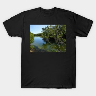 Mangroves on the water at Robinson Preserve in Florida T-Shirt